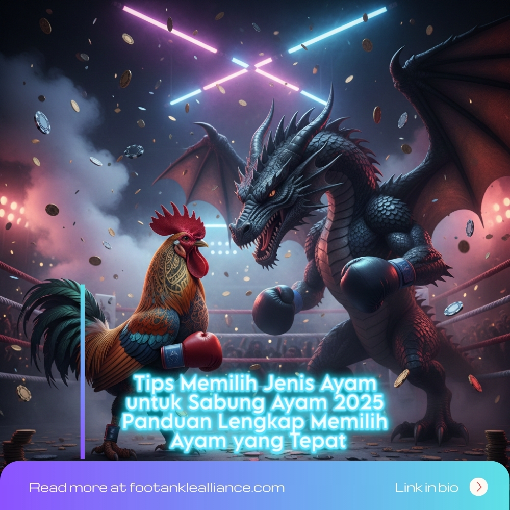 Tips Memilih Jenis Ayam untuk Sabung Ayam 2025 | Panduan Lengkap Memilih Ayam yang Tepat