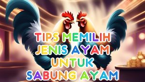 Tips Memilih Jenis Ayam